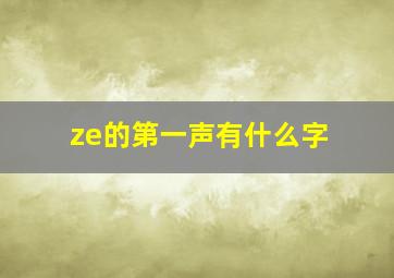 ze的第一声有什么字