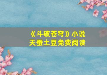 《斗破苍穹》小说天蚕土豆免费阅读