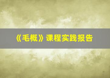 《毛概》课程实践报告