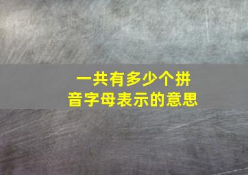 一共有多少个拼音字母表示的意思