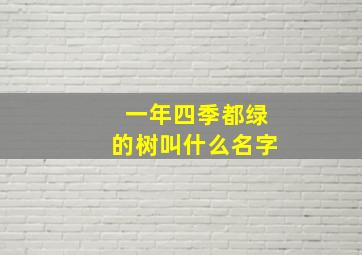 一年四季都绿的树叫什么名字