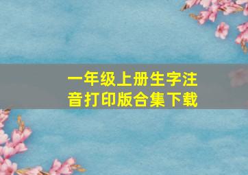 一年级上册生字注音打印版合集下载