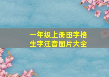 一年级上册田字格生字注音图片大全