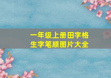 一年级上册田字格生字笔顺图片大全