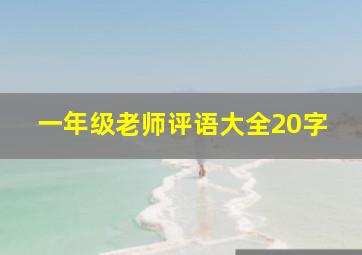 一年级老师评语大全20字