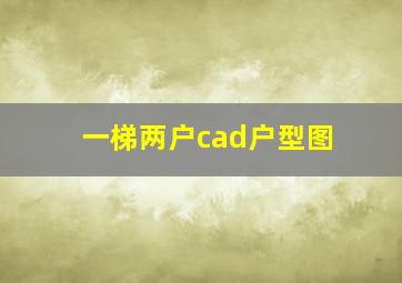 一梯两户cad户型图