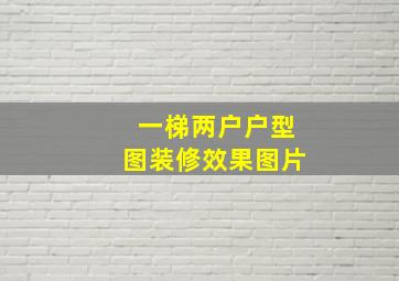 一梯两户户型图装修效果图片