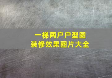 一梯两户户型图装修效果图片大全