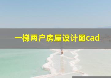 一梯两户房屋设计图cad