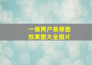 一梯两户装修图效果图大全图片