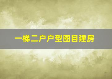 一梯二户户型图自建房