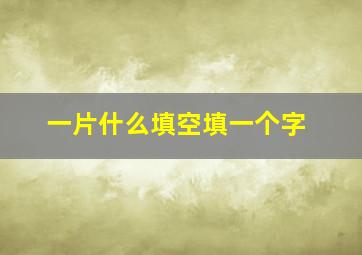 一片什么填空填一个字