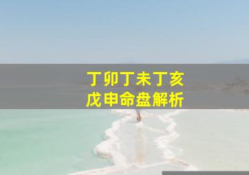 丁卯丁未丁亥戊申命盘解析