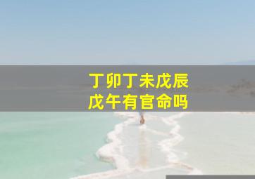 丁卯丁未戊辰戊午有官命吗