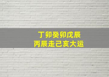 丁卯癸卯戊辰丙辰走己亥大运