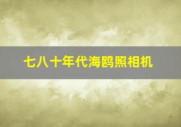 七八十年代海鸥照相机