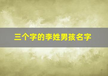 三个字的李姓男孩名字