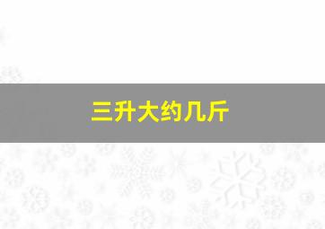 三升大约几斤