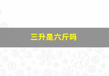 三升是六斤吗