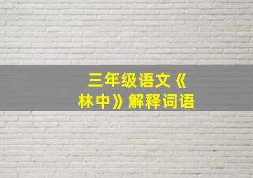 三年级语文《林中》解释词语