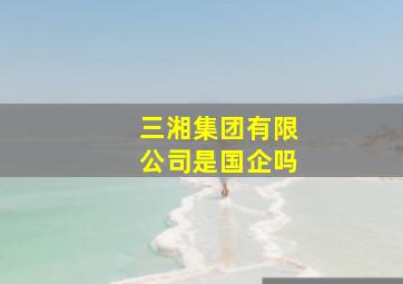 三湘集团有限公司是国企吗