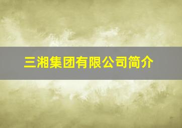 三湘集团有限公司简介