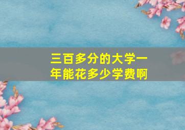 三百多分的大学一年能花多少学费啊