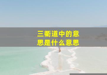 三衢道中的意思是什么意思