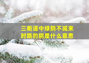 三衢道中绿阴不减来时路的阴是什么意思