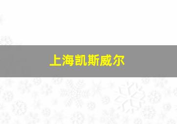 上海凯斯威尔