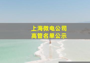 上海微电公司高管名单公示