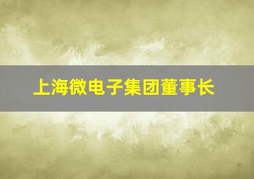 上海微电子集团董事长