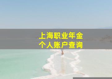 上海职业年金个人账户查询