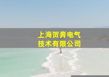 上海贺奔电气技术有限公司