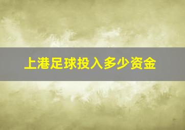 上港足球投入多少资金