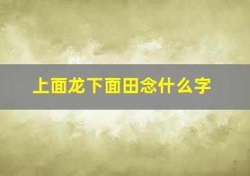 上面龙下面田念什么字