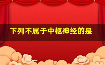 下列不属于中枢神经的是