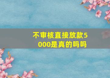 不审核直接放款5000是真的吗吗