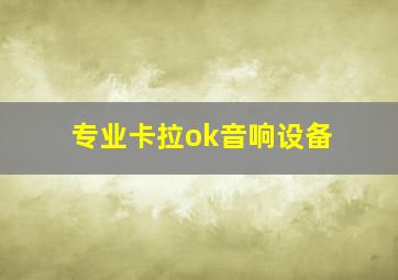 专业卡拉ok音响设备