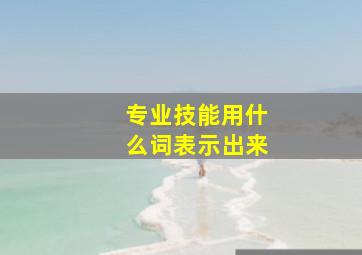 专业技能用什么词表示出来