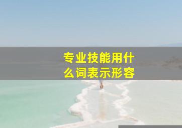 专业技能用什么词表示形容