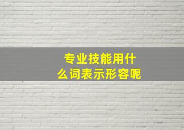 专业技能用什么词表示形容呢