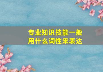 专业知识技能一般用什么词性来表达