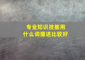 专业知识技能用什么词描述比较好