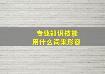 专业知识技能用什么词来形容