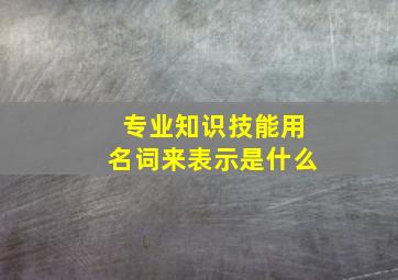 专业知识技能用名词来表示是什么