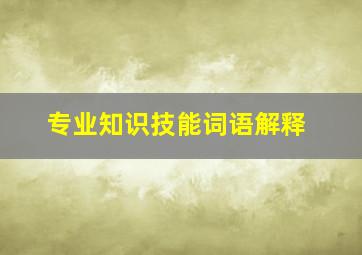 专业知识技能词语解释