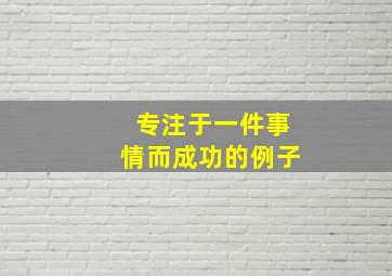 专注于一件事情而成功的例子