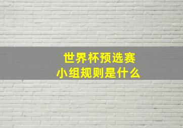 世界杯预选赛小组规则是什么