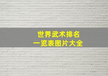 世界武术排名一览表图片大全